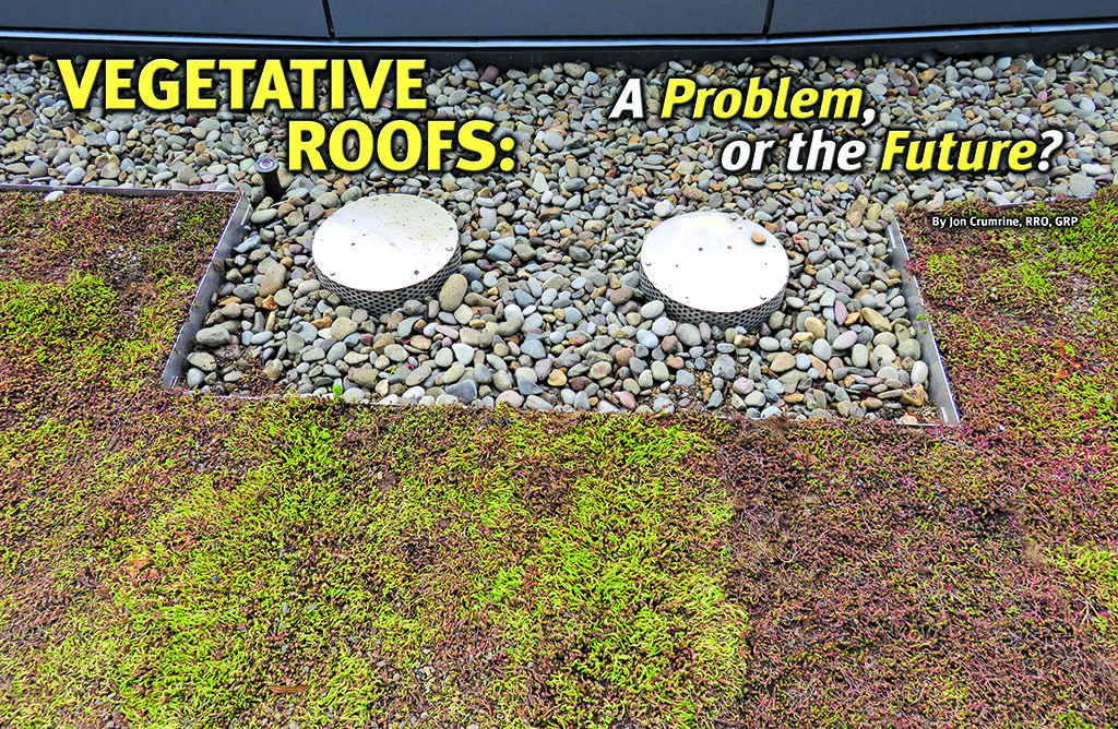 vegetative roof with drain