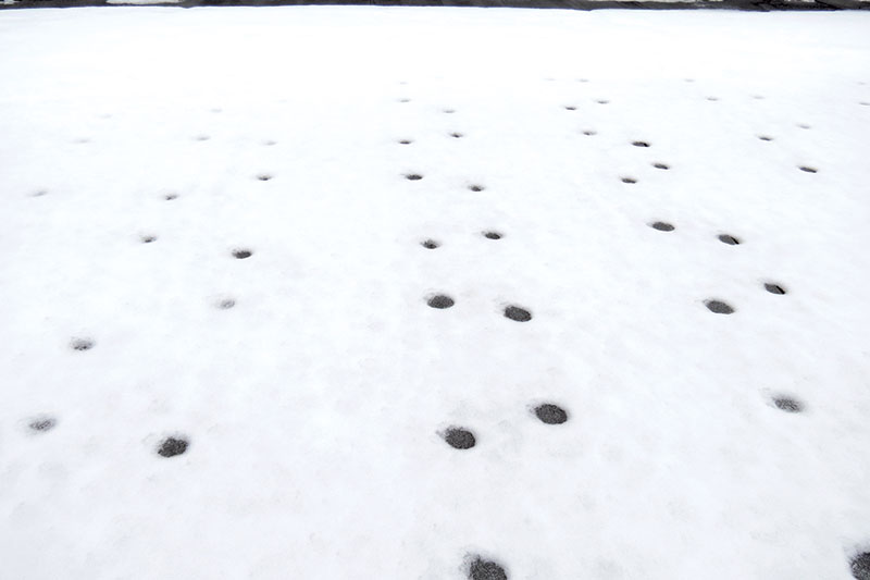 snow with pockmarked spots