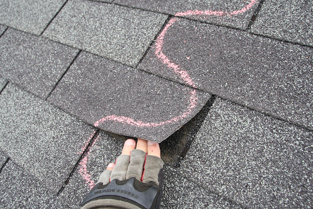 A roofing contractor lifting up a damaged asphalt shingle.