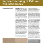 Brown and white cover page of IIBEC article regarding PVC and KEE membranes.