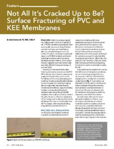 Brown and white cover page of IIBEC article regarding PVC and KEE membranes.