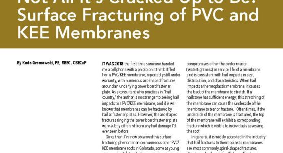 Brown and white cover page of IIBEC article regarding PVC and KEE membranes.