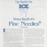 Cover page of article, "WATER DAMS Up North it’s Down South it’s Pine Needles".