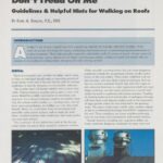 Cover page of IIBEC Interface article, "Don't Tread on Me: Guidelines & Helpful Hints for Walking on Roofs".