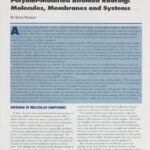 Cover page of IIBEC Interface article, " Polymer-Modified Bitumen Roofing: Molecules, Membranes and Systems".