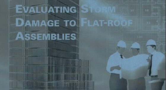 Cover page of IIBEC article, 