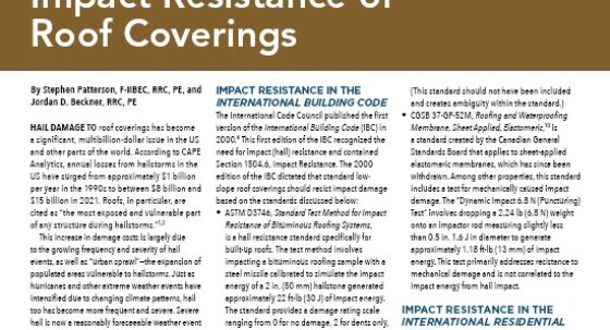 Cover of IIBEC Interface article, 