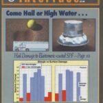 Cover of July 1998 IIBEC Interface, theme of Come Hail or High Water.