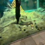 The Otter-ly Fin-tastic welcome reception at the 2025 IIBEC Building Enclosure Symposium