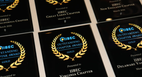 IIBEC Chapter Award Plaques