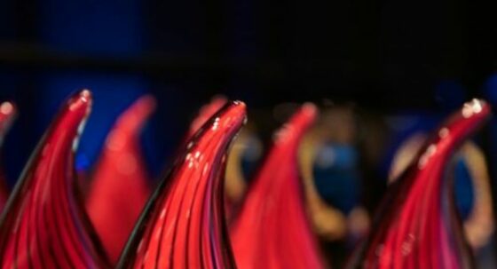 A gallery of IIBEC Honors awards