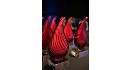 A gallery of IIBEC Honors awards