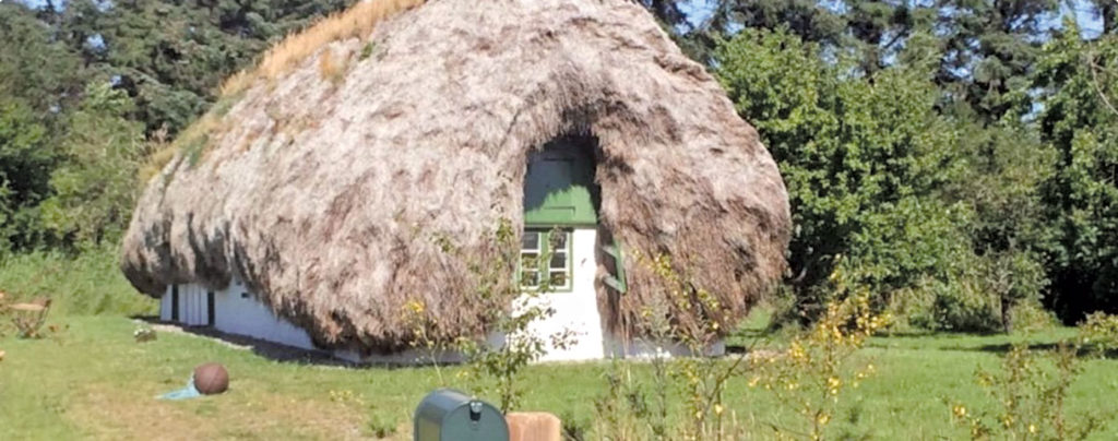 Repair Or Re Thatch