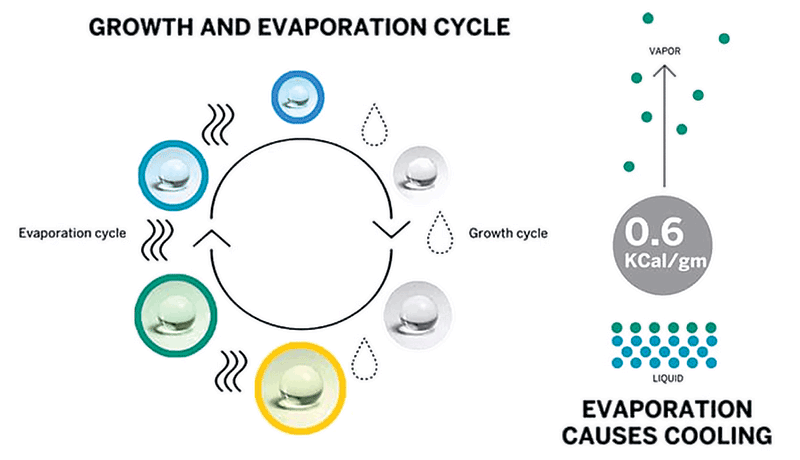 Growth and Evaporation Cycle