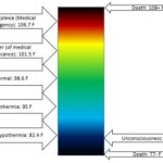 human body temperature scale