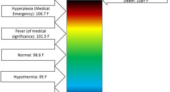 human body temperature scale