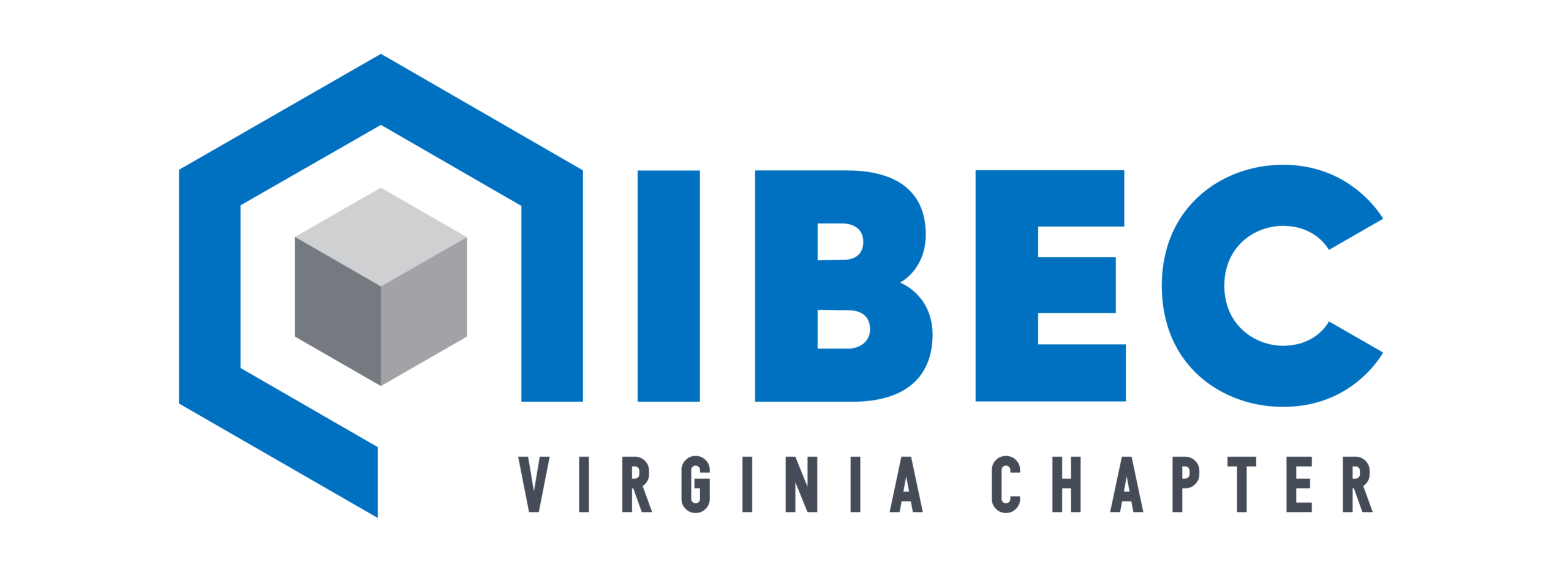 VIRGINIA COLOR CHAPTER LOGO | IIBEC